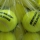 Tennisbälle  DUNLOP TRAINING Balls 60er